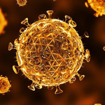 Lần đầu tiên sau 19 năm, các nhà khoa học phát hiện ra một chủng HIV mới